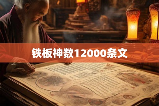 铁板神数12000条文