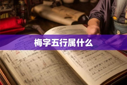 梅字五行属什么