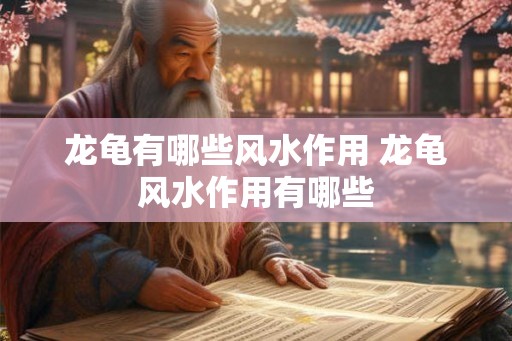 龙龟有哪些风水作用 龙龟风水作用有哪些 龙龟有哪些风水作用 龙龟风水作用有哪些