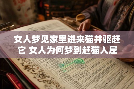 女人梦见家里进来猫并驱赶它 女人为何梦到赶猫入屋