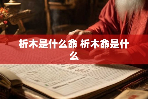 析木是什么命 析木命是什么