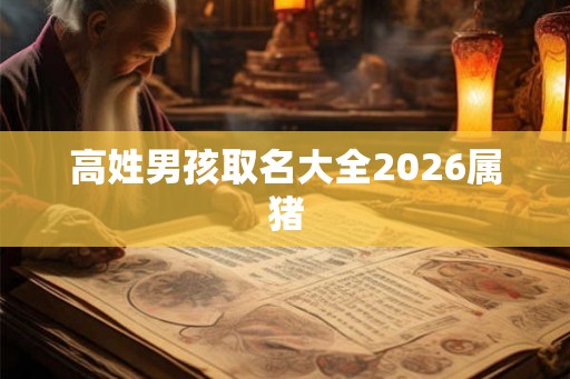 高姓男孩取名大全2026属猪