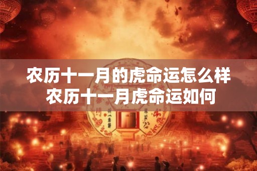农历十一月的虎命运怎么样 农历十一月虎命运如何