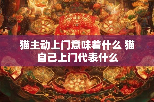 猫主动上门意味着什么 猫自己上门代表什么