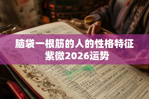 脑袋一根筋的人的性格特征  紫微2026运势
