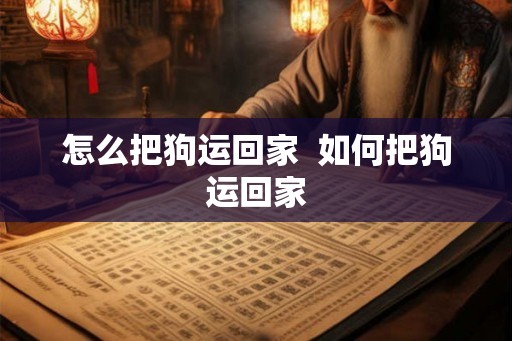 怎么把狗运回家  如何把狗运回家
