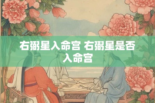 右弼星入命宫 右弼星是否入命宫