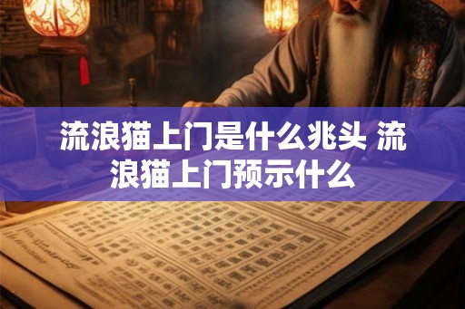 流浪猫上门是什么兆头 流浪猫上门预示什么