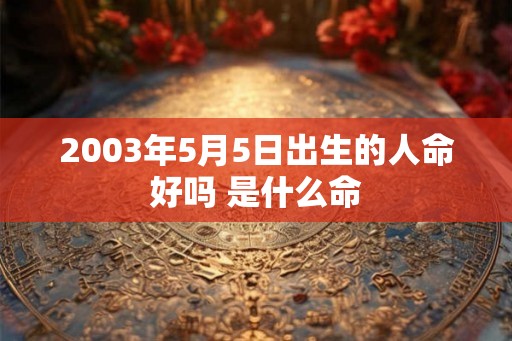 2003年5月5日出生的人命好吗 是什么命