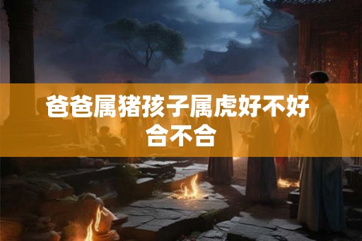 爸爸属猪孩子属虎好不好 合不合