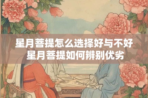 星月菩提怎么选择好与不好 星月菩提如何辨别优劣 星月菩提怎么选择好与不好 星月菩提如何辨别优劣