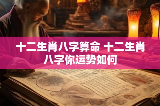 十二生肖八字算命 十二生肖八字你运势如何