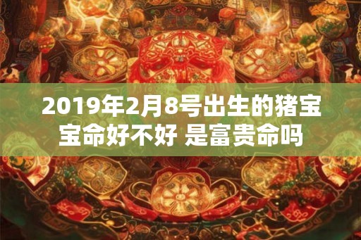 2019年2月8号出生的猪宝宝命好不好 是富贵命吗