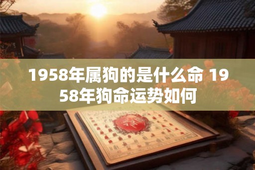 1958年属狗的是什么命 1958年狗命运势如何