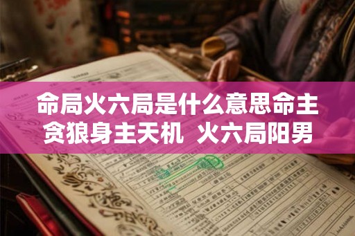 命局火六局是什么意思命主贪狼身主天机  火六局阳男命好吗