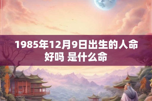 1985年12月9日出生的人命好吗 是什么命