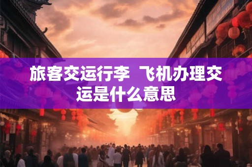 旅客交运行李 飞机办理交运是什么意思 旅客交运行李 飞机办理交运是什么意思