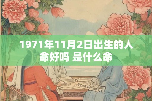 1971年11月2日出生的人命好吗 是什么命