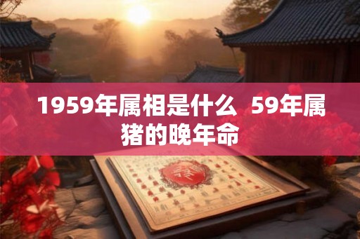 1959年属相是什么 59年属猪的晚年命 1959年属相是什么 59年属猪的晚年命