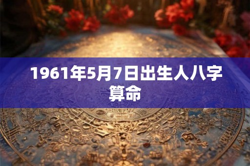 1961年5月7日出生人八字算命
