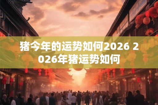 猪今年的运势如何2026 2026年猪运势如何 猪今年的运势如何2026 2026年猪运势如何