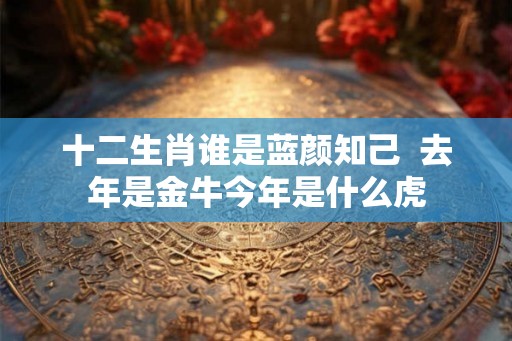 十二生肖谁是蓝颜知己 去年是金牛今年是什么虎 十二生肖谁是蓝颜知己 去年是金牛今年是什么虎
