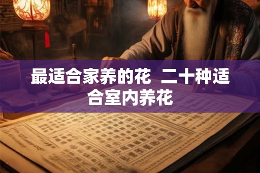 最适合家养的花  二十种适合室内养花