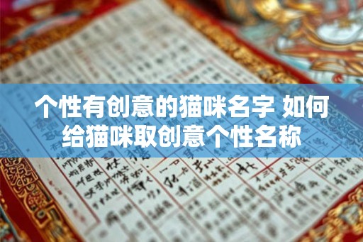 个性有创意的猫咪名字 如何给猫咪取创意个性名称
