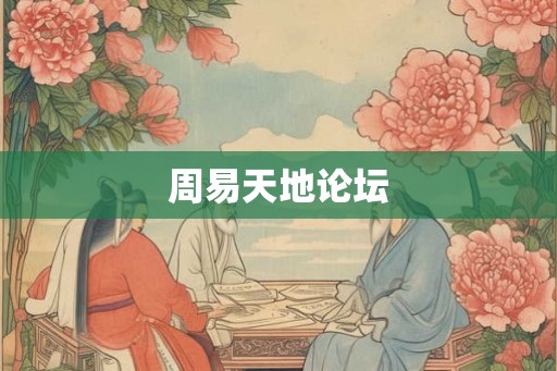 周易天地论坛