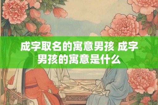 成字取名的寓意男孩 成字男孩的寓意是什么
