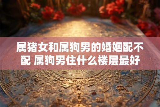 属猪女和属狗男的婚姻配不配 属狗男住什么楼层最好