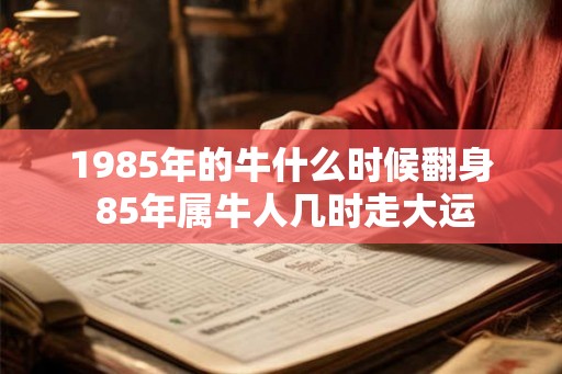 1985年的牛什么时候翻身 85年属牛人几时走大运