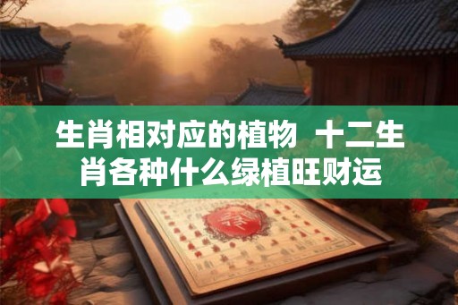生肖相对应的植物  十二生肖各种什么绿植旺财运