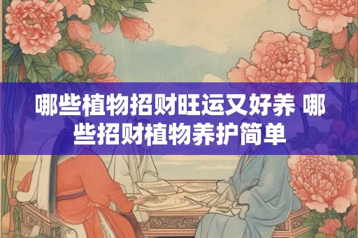 哪些植物招财旺运又好养 哪些招财植物养护简单