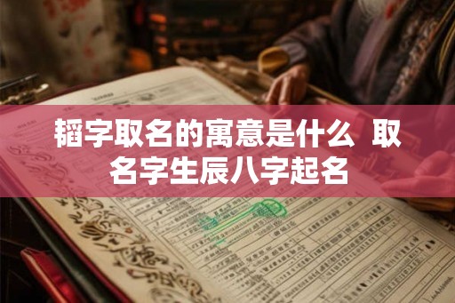 韬字取名的寓意是什么  取名字生辰八字起名