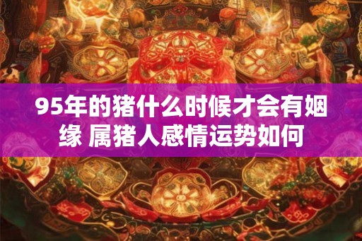 95年的猪什么时候才会有姻缘 属猪人感情运势如何
