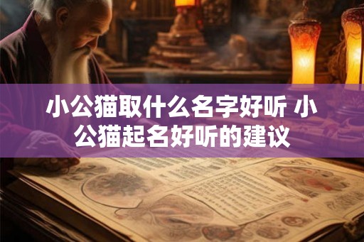 小公猫取什么名字好听 小公猫起名好听的建议