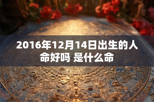 2016年12月14日出生的人命好吗 是什么命 2016年12月14日出生的人命好吗 是什么命