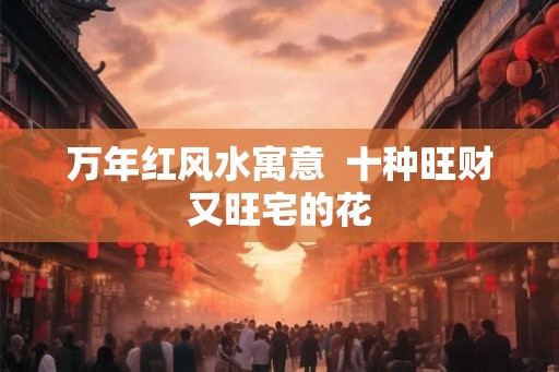 万年红风水寓意  十种旺财又旺宅的花