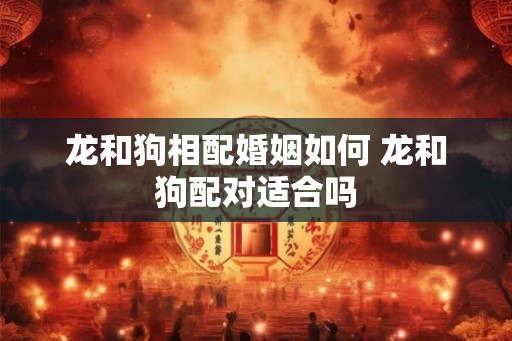 龙和狗相配婚姻如何 龙和狗配对适合吗 龙和狗相配婚姻如何 龙和狗配对适合吗