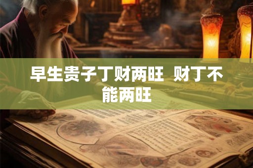 早生贵子丁财两旺  财丁不能两旺