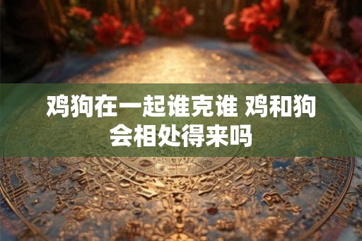 鸡狗在一起谁克谁 鸡和狗会相处得来吗