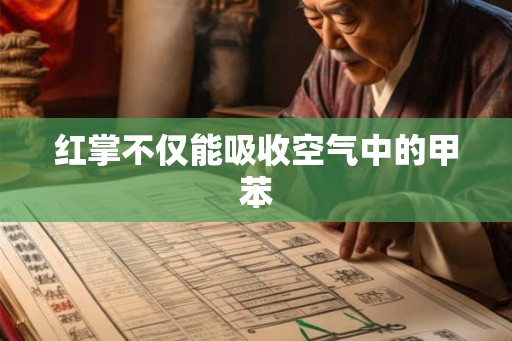 红掌不仅能吸收空气中的甲苯 红掌不仅能吸收空气中的甲苯