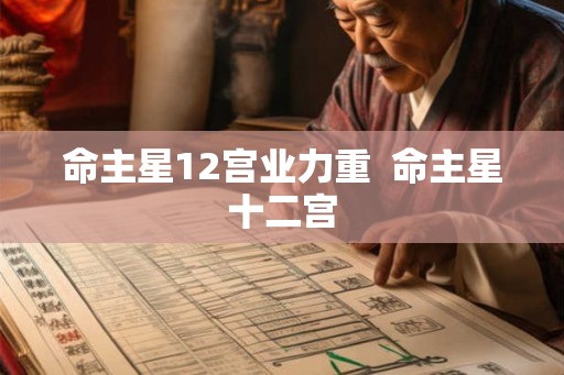 命主星12宫业力重  命主星十二宫