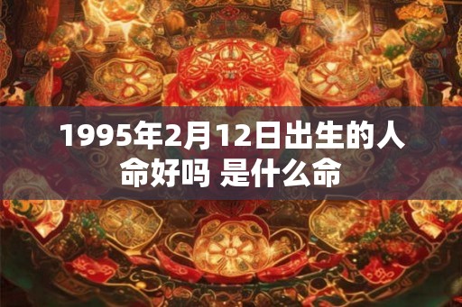 1995年2月12日出生的人命好吗 是什么命