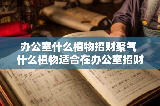 办公室什么植物招财聚气 什么植物适合在办公室招财聚气