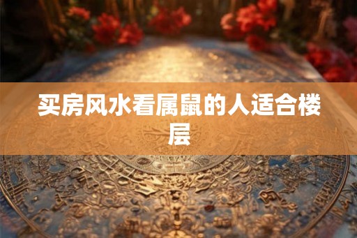 买房风水看属鼠的人适合楼层