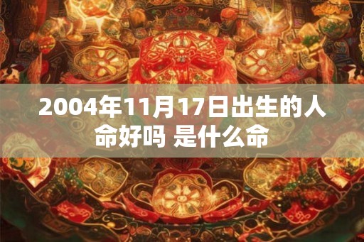 2004年11月17日出生的人命好吗 是什么命