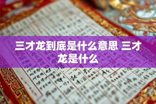 三才龙到底是什么意思 三才龙是什么