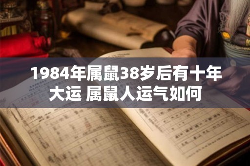 1984年属鼠38岁后有十年大运 属鼠人运气如何